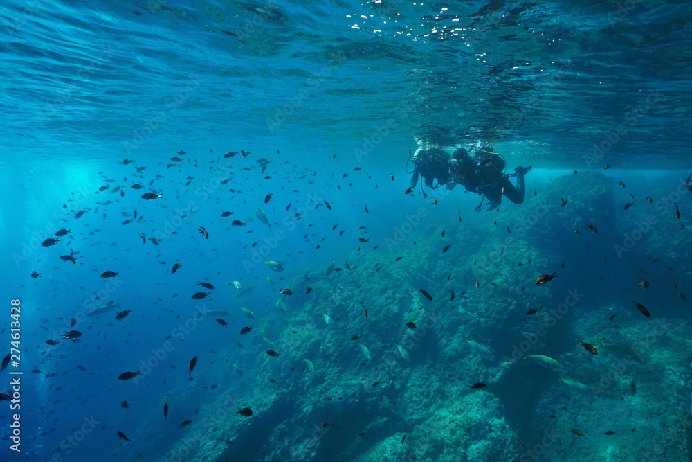 Fototapeta premium Couple of scuba divers on water surface look at a shoal of fish underwater, Mediterranean sea, Costa Brava, Spain