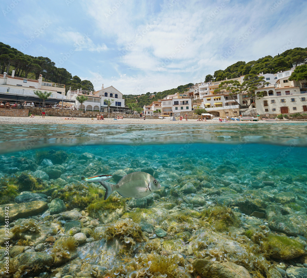 Spain beach shore in a Mediterranean village on Costa Brava with fish and rocks underwater, Sa Tuna, Begur, Catalonia, split view half over and under water