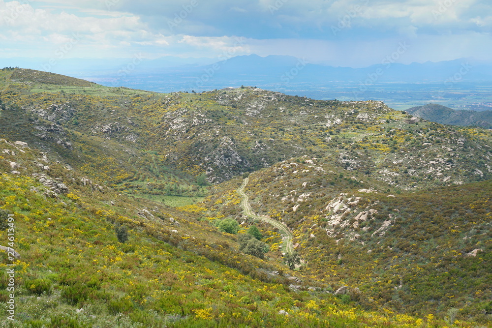 Spain landscape scrubland, Serra de Rodes, Catalonia, Alt Emporda, Girona province
