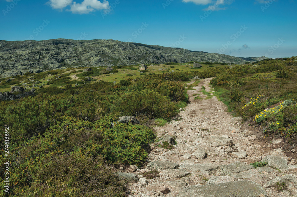 Trail passing through rocky terrain on highlands