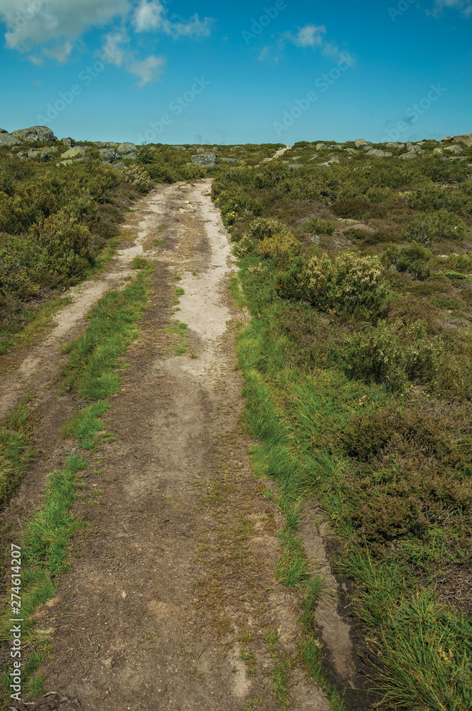 Trail passing through rocky terrain on highlands