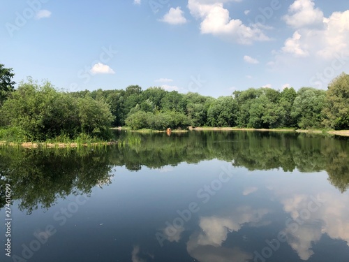 lake in the forest