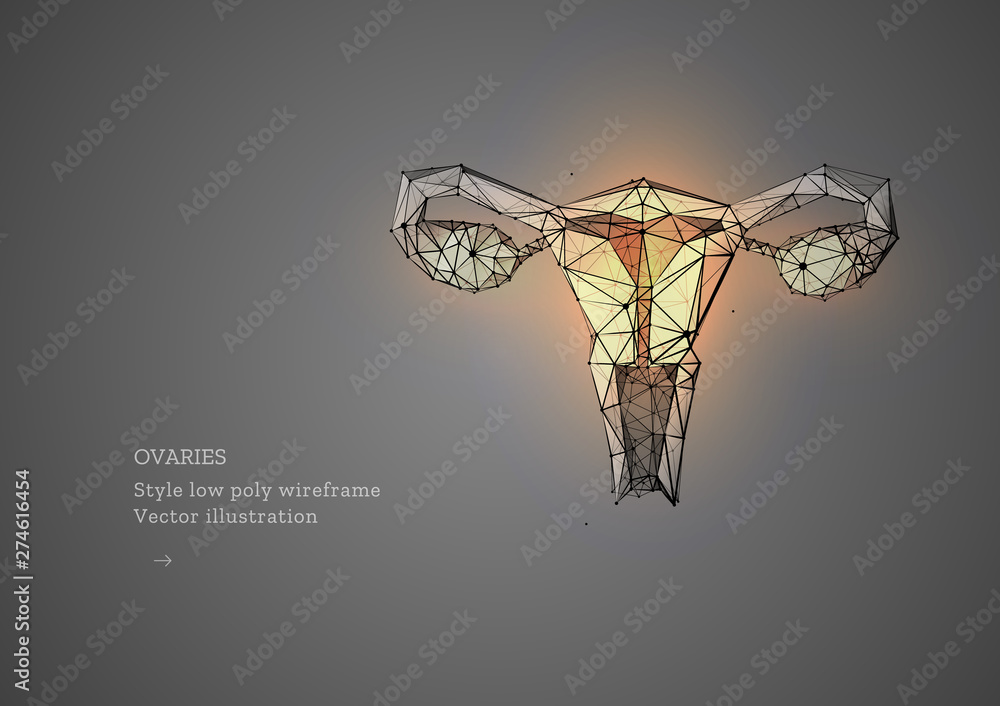 Ovaries. Low poly wireframe style. Female reproductive organs uterus and ovaries health care. Abstract illustration isolated on gray background. Particles are connected in a geometric silhouette.