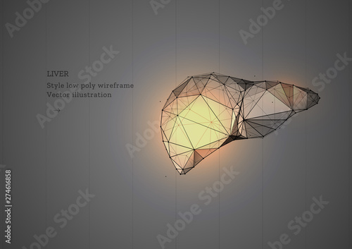 Liver organ. Low poly wireframe style. Technology in medicine. Abstract illustration isolated on gray background. Particles are connected in a geometric silhouette
