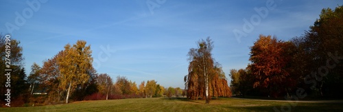 Autumnal Trees from Falkensee (Brandenburg) near Berlin Spandau on November 1, 2015, Germany
