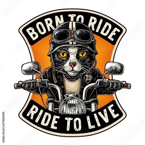 Cat driving a motorcycle rides. Vector vintage engraving