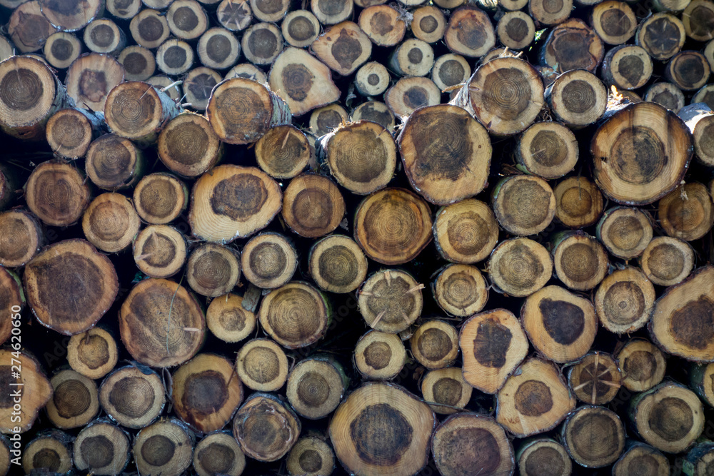 Europe, UK, England, log stack Europe, UK, England, log stack