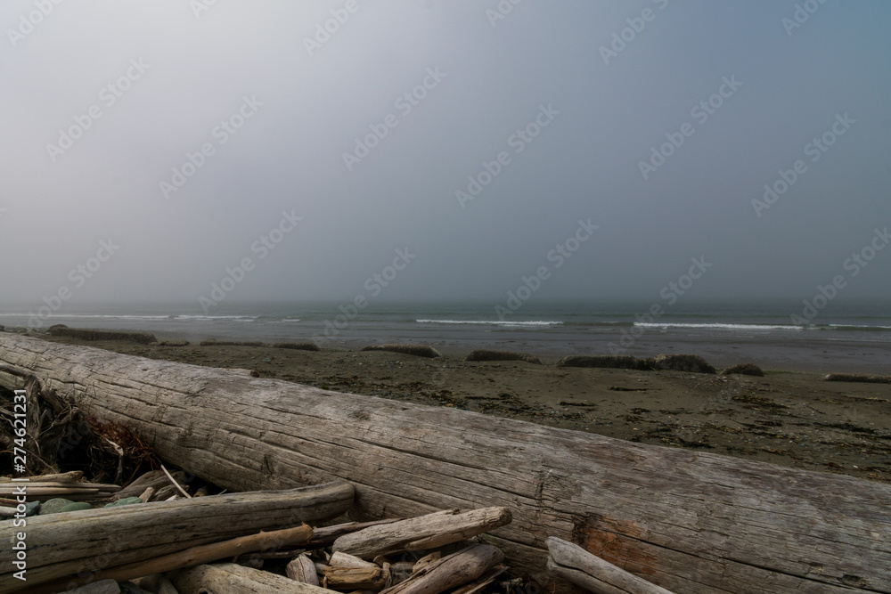 Whidbey Island beach in fog