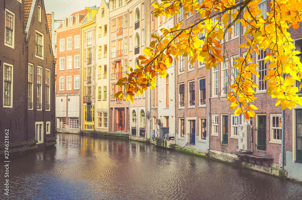 Naklejka premium Houses of Amstardam, Netherlands