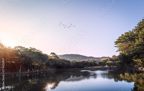 Lake at public park in Valinhos/SP during the morning with birds in the sky