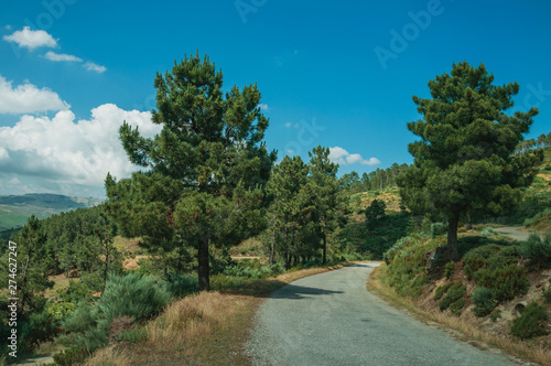 Countryside roadway passing through hilly landscape