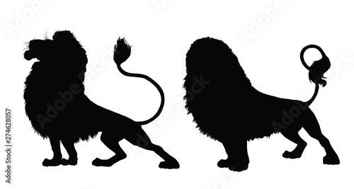 Lion silhouette. 2 Lions illustrations. Big cat drawing.
