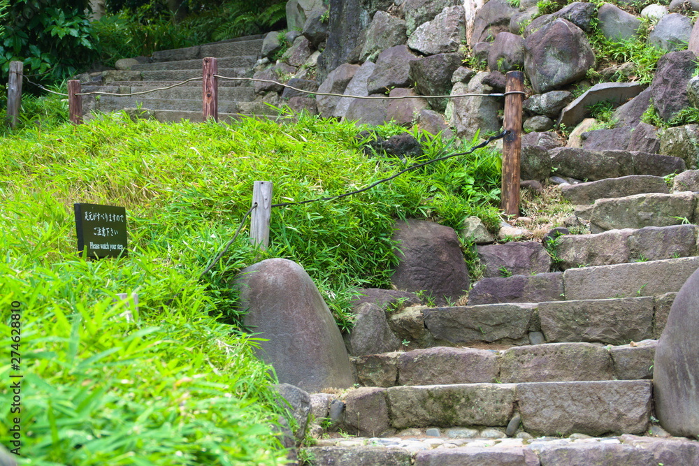 garden in garden