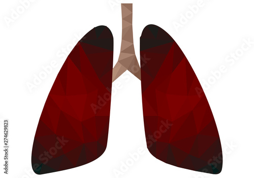 Pulmones enegrecidos y enfermos por el tabaco. 
