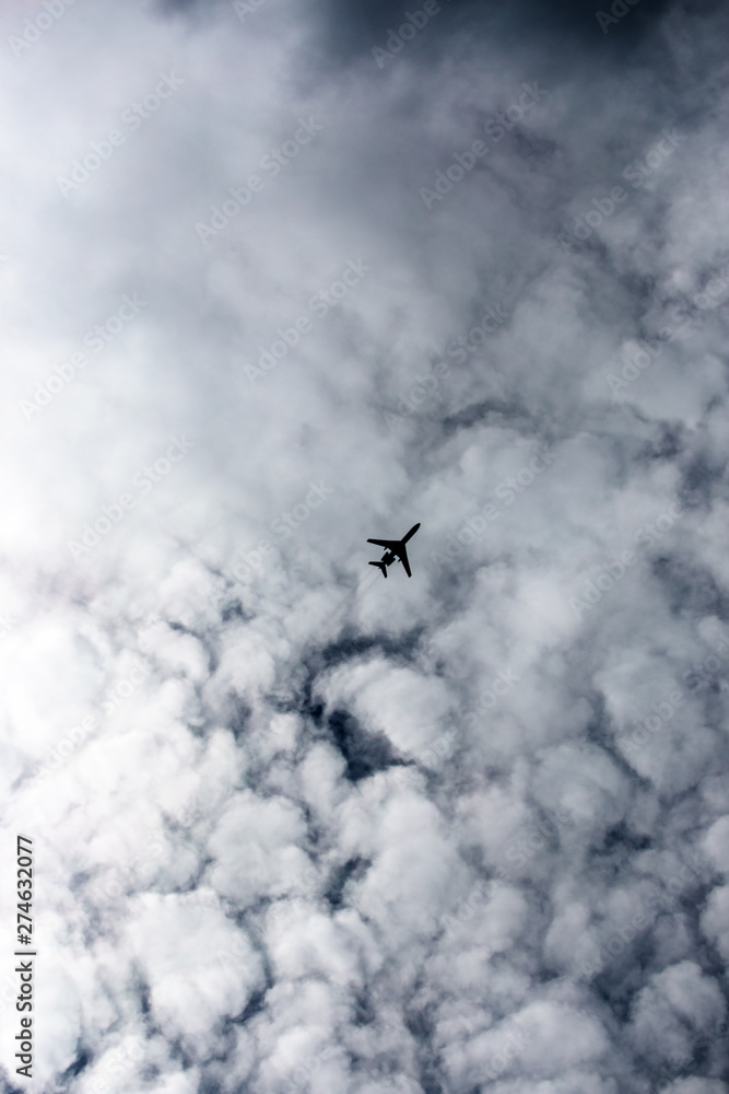the plane flies across the blue sky the plane flies across the blue sky