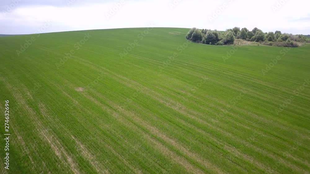 Aerial view of green agriculture field in summer or spring. Aerial view of green agriculture field in summer or spring.