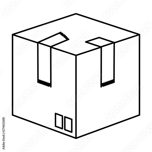 box carton packing delivery service
