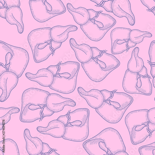 Sketch Ink Human liver, hand drawn seamless Pattern Background, Engraved Anatomical illustration. Vector