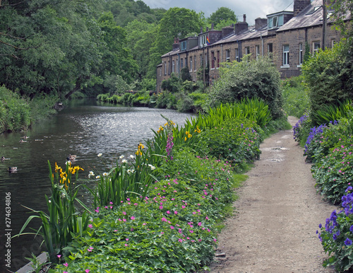 a canal path surrounded by summer flowers with a row of old stone houses at eastwood in hebden bridge west yorkshire photo