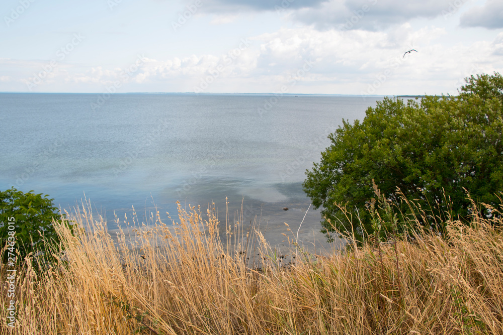 Fototapeta premium Baltic Sea - a seashore landscape behind Boltenhagen, Germany