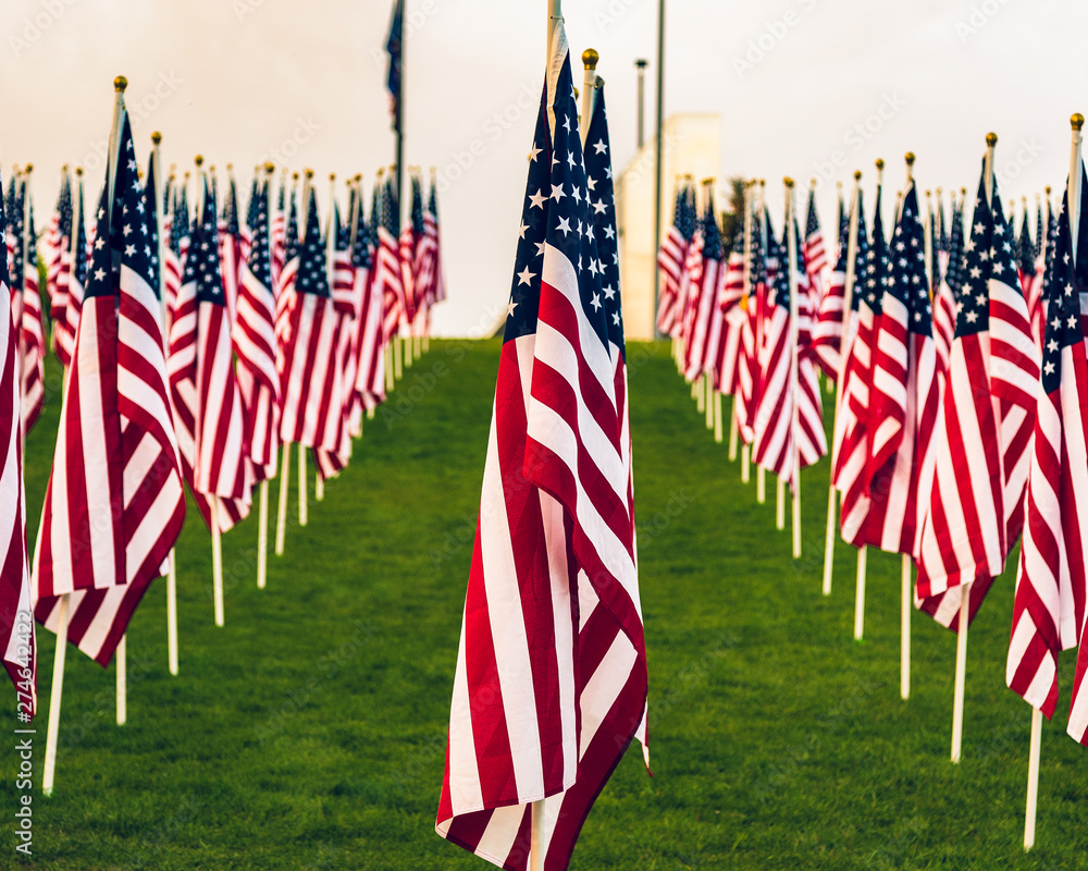 American Flags on display