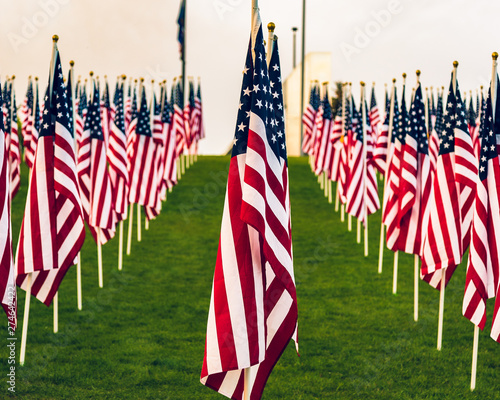 Obraz na płótnie American Flags on display w salonie