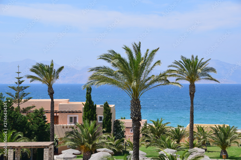 Fototapeta premium Palm trees on the beach on Kos island in Greece