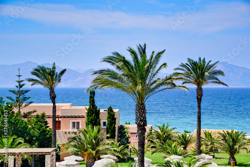 Wallpaper Mural Palm trees on the beach on Kos island in Greece Torontodigital.ca