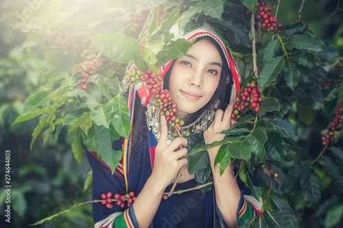 Canvas Print Portrait of beautiful young asian lady Akha tribe,Akha hill picking arabica coff
