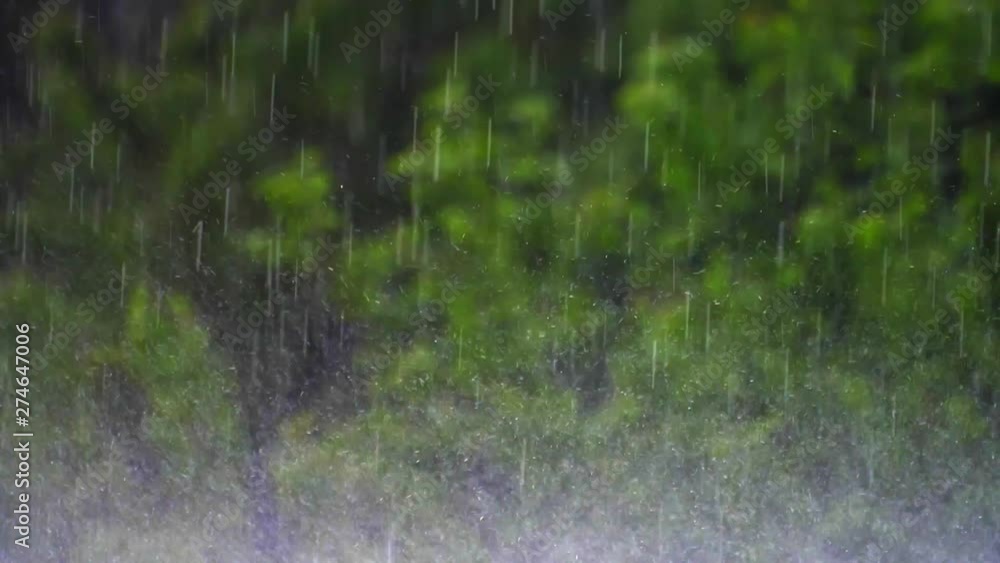 Raindrops Falling on the Ground During Heavy Rain Slow Motion Raindrops Falling on the Ground During Heavy Rain Slow Motion