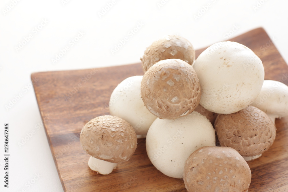 Freshness white and brown mushroom Freshness white and brown mushroom