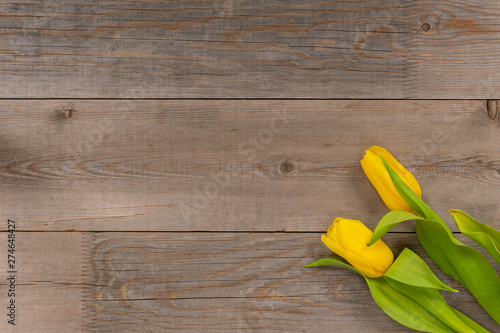 Yellow tulips on rustic wooden table. Top view with copy space. photo