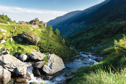 balea water stream in the mountains at sunrise. beautiful summer nature scenery of fagaras  romania. huge rocks and spruce trees on the grassy slopes. sunny weather with cloud on the blue sky