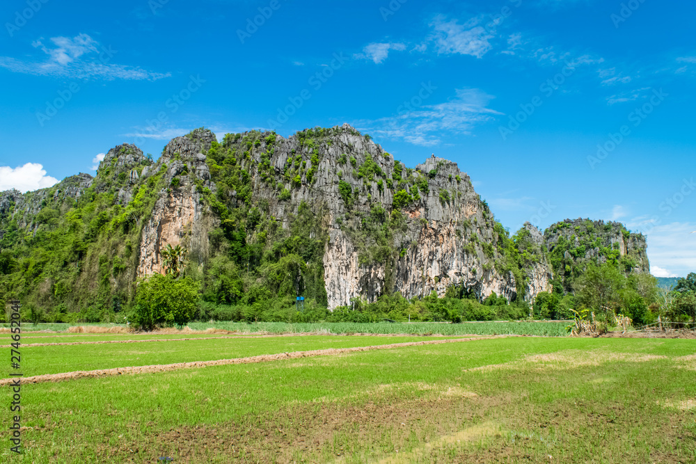 Rice Farm with Limestone mountain range in Thailand