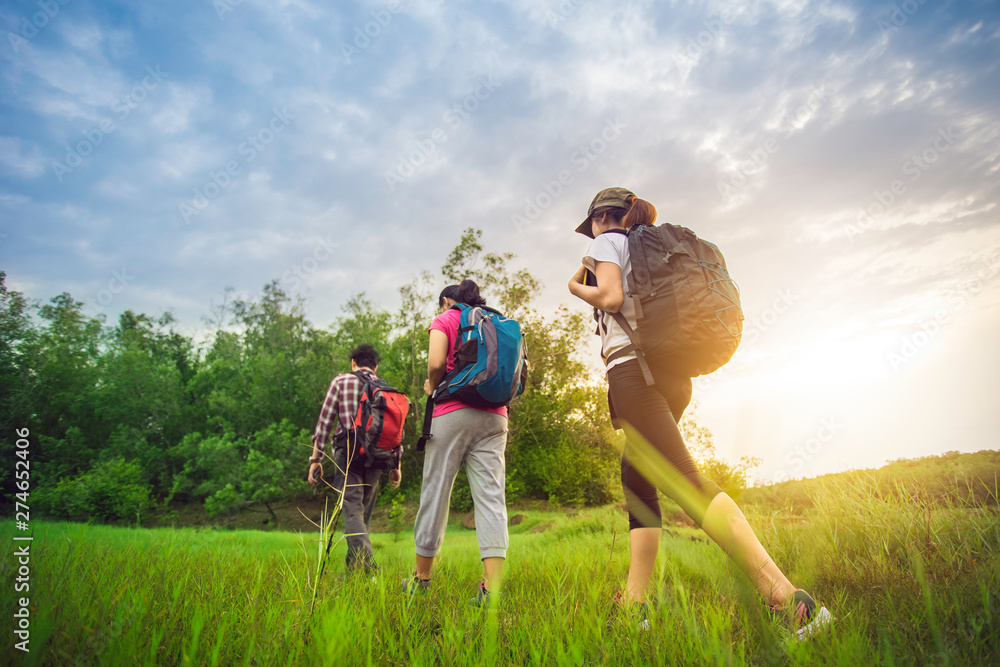 Obraz premium Hikers with backpacks walking through a meadow with lush grass under blue sky and sunset.