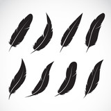 Vector group of black feather on white background. Easy editable layered vector illustration.