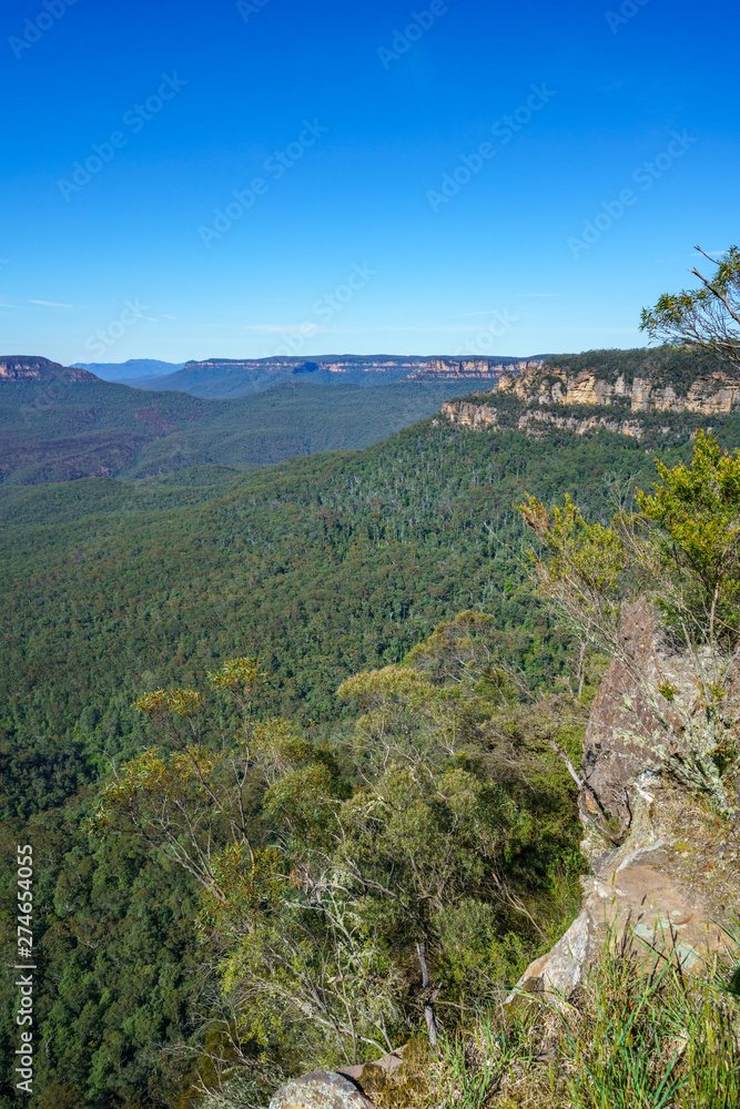 hiking to gordon falls lookout, blue mountains, australia 9