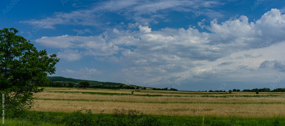 Summertime in kakheri area