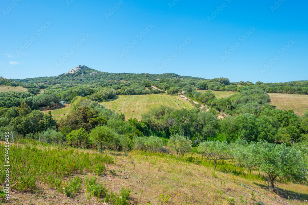 Scenic landscape of green hills and rocky mountains of the island of Sardinia in spring Scenic landscape of green hills and rocky mountains of the island of Sardinia in spring