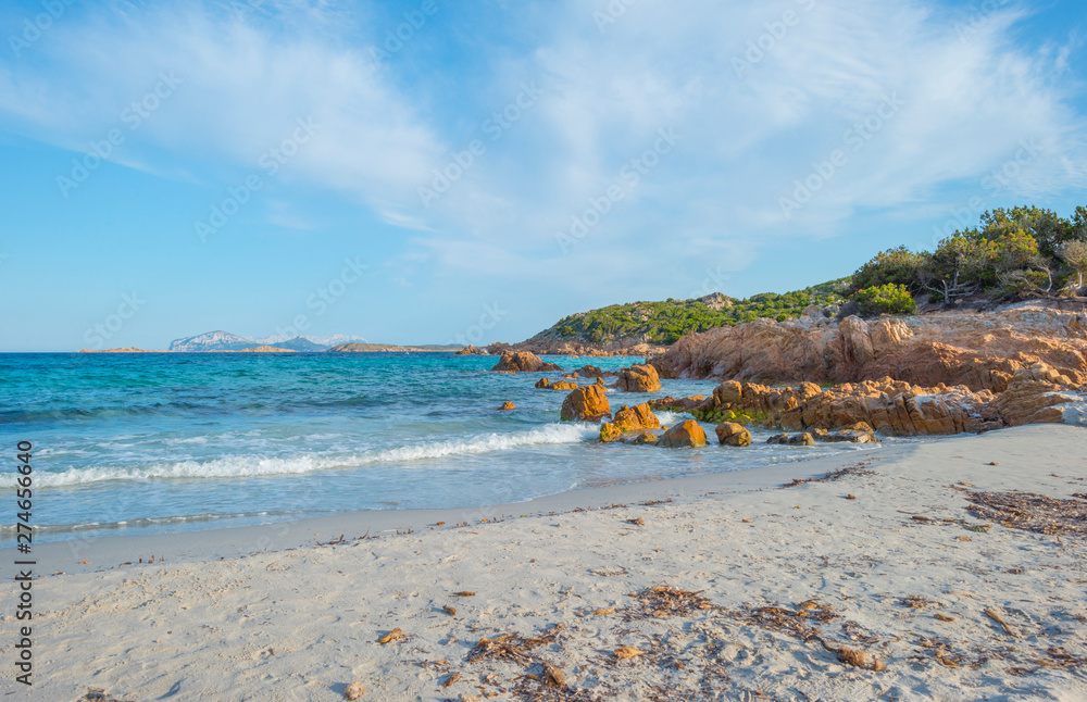 Fototapeta premium Rocky coast of the island of Sardinia in the Mediterranean Sea in sunlight in spring