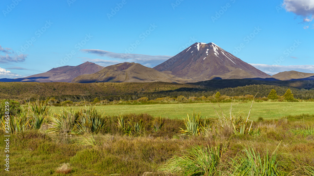 Fototapeta premium cone volcano,mount ngauruhoe,tongariro,new zealand 23