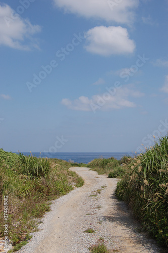 南国沖縄の田舎の海へ続く道