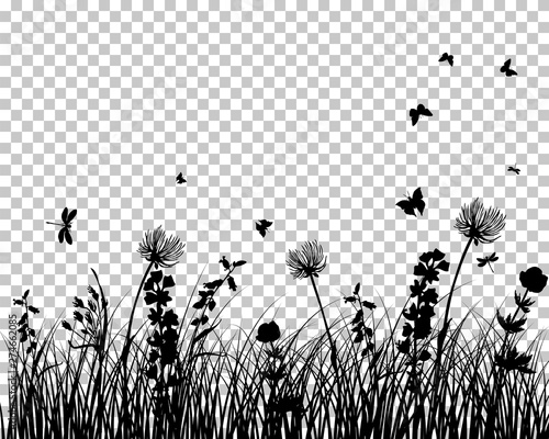 Photo meadow silhouettes