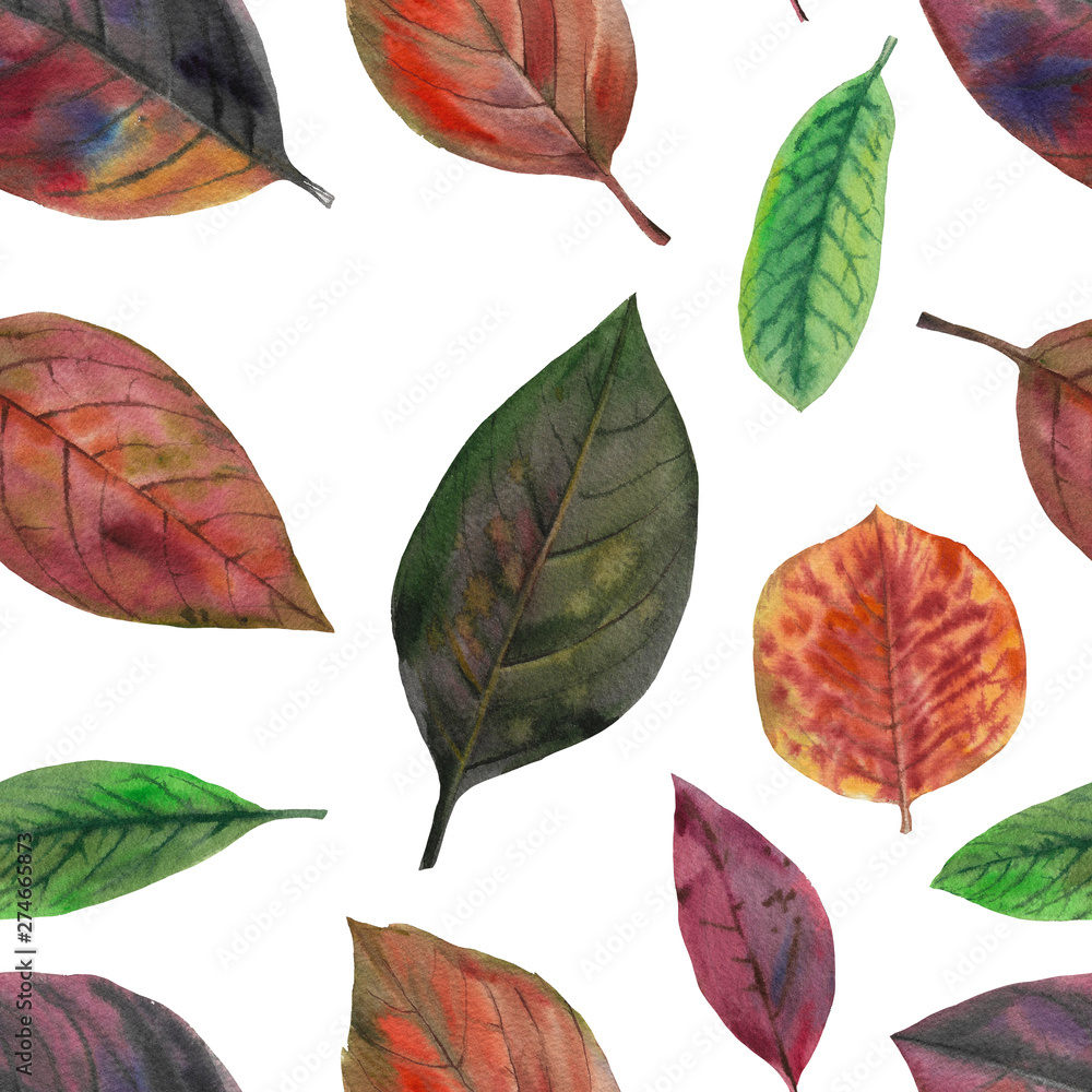 Fototapeta premium Seamless watercolor pattern. Hand painted leaves of different colors on a white background.