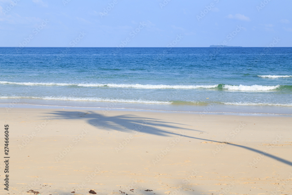 Palm tree shadow on the beach/Coconut palm tree shadow on the beach/The beach and the sea very beaytiful/
