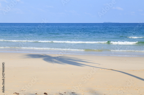 Palm tree shadow on the beach/Coconut palm tree shadow on the beach/The beach and the sea very beaytiful/ © JEERANAN