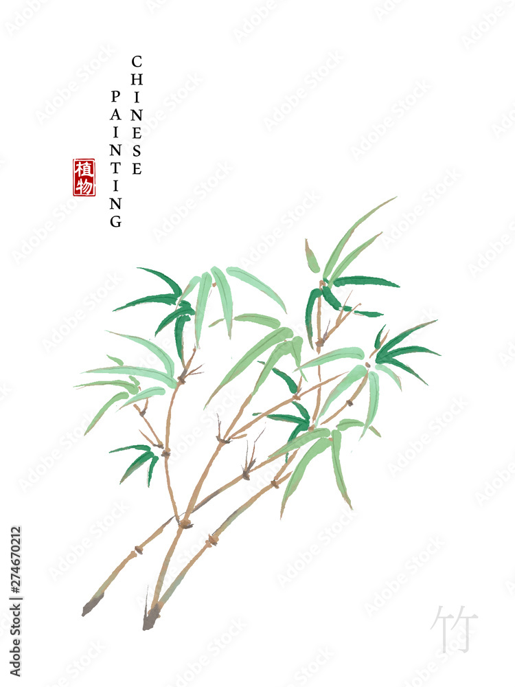 Φωτογραφία Watercolor Chinese ink paint art illustration nature plant from The Book of Songs bamboo