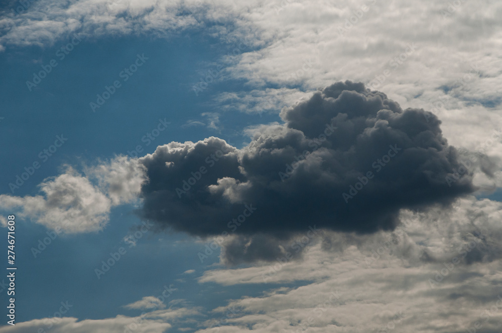 Fototapeta premium fluffy clouds on a sunny day