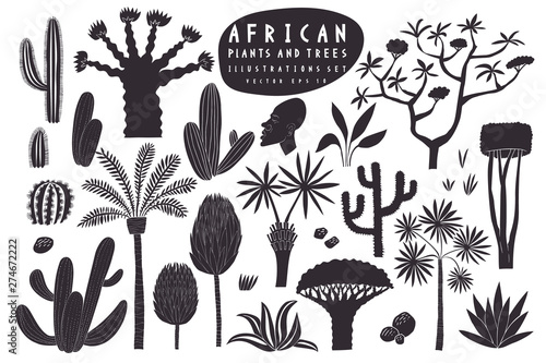 Fun hand drawn African plants illustration set. Cactuses, palms, exotic trees vector illustrations. Linocut style.