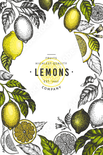 Lemon tree frame template. Hand drawn vector fruit illustration. Engraved style banner. Vintage citrus design.